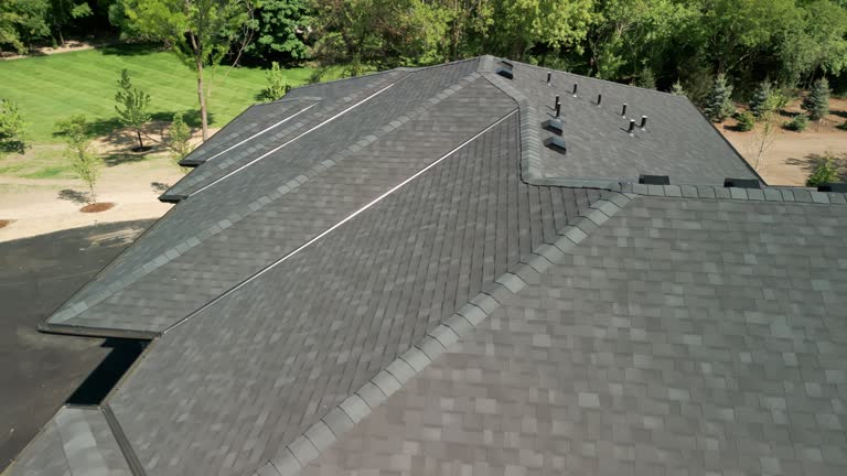 Best Roof Moss and Algae Removal  in Watseka, IL